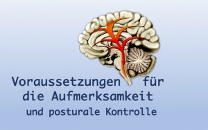 Kurs: Aufmerksamkeit-300x188