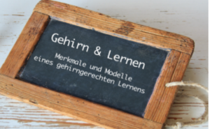 Kurs: Gehirn und Lernen