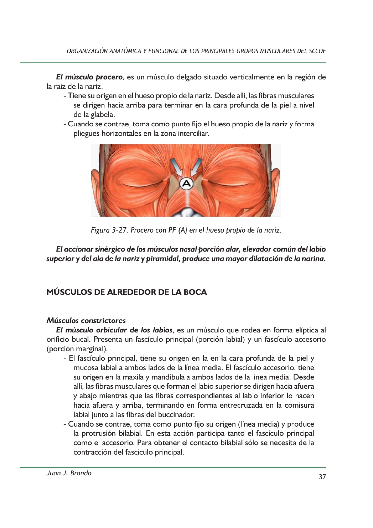 Leseprobe 2 Brondo Buch 2024 DISFUNCIONES DEL SISTEMA CCOFS