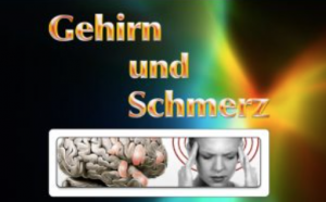 Kurs: Gehirn und Schmerz