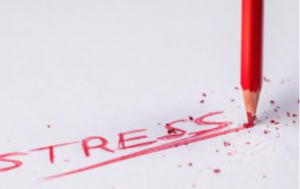 Kurs: Gehirn und Stress